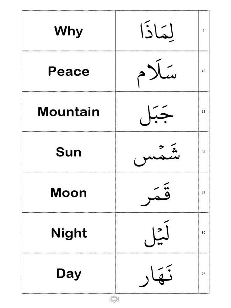 Prophetic Hadith
